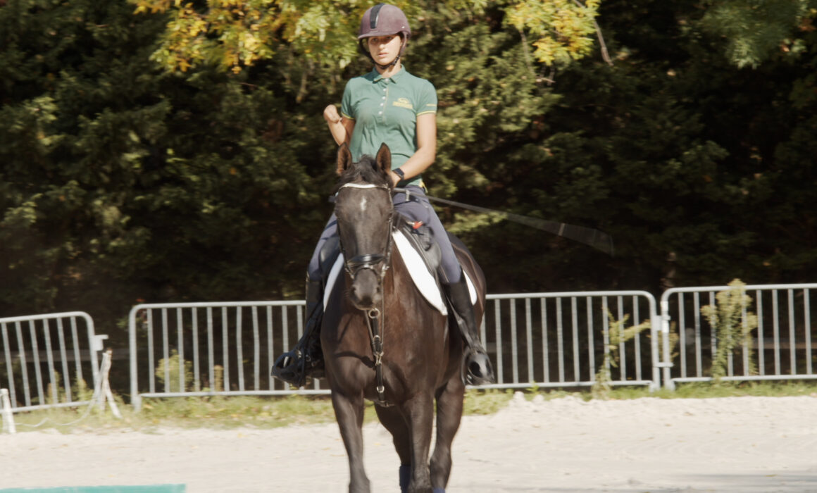 Para dressage